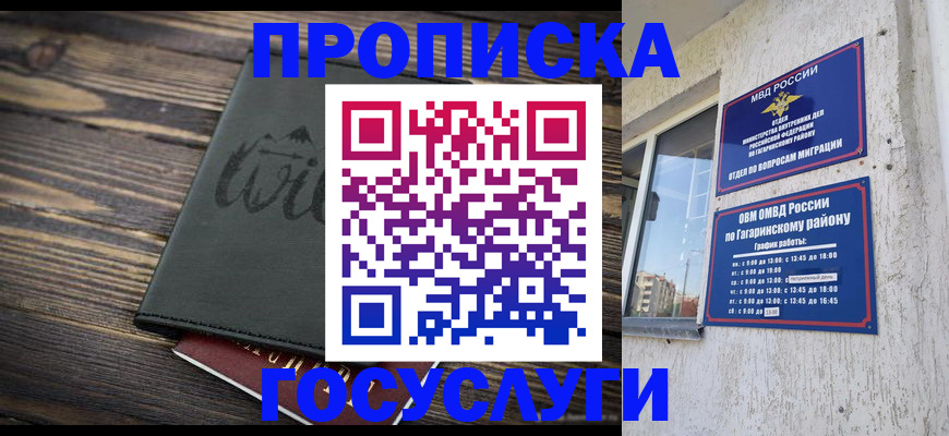 прописка поиск в Сольцах